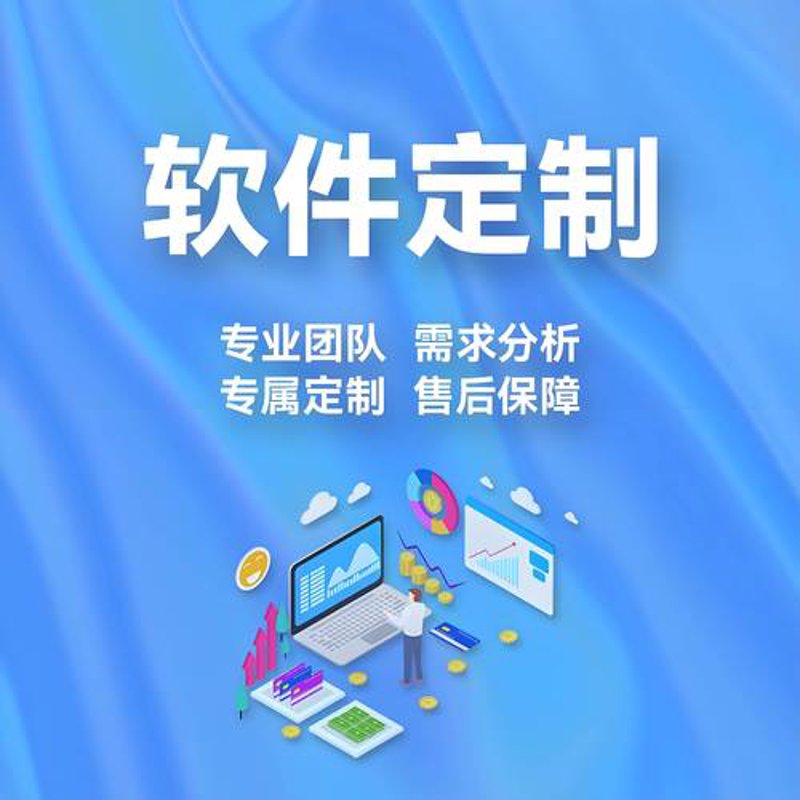 上海软件开发：推动企业数字化转型的力量
